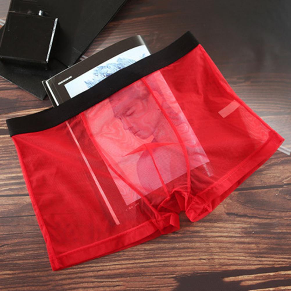 Men Boxer Sheer Mesh Boxer for Men Sexy Transparent Underwear Ultra-thin See Through Boxershorts Stretchy Net Yarn Pants