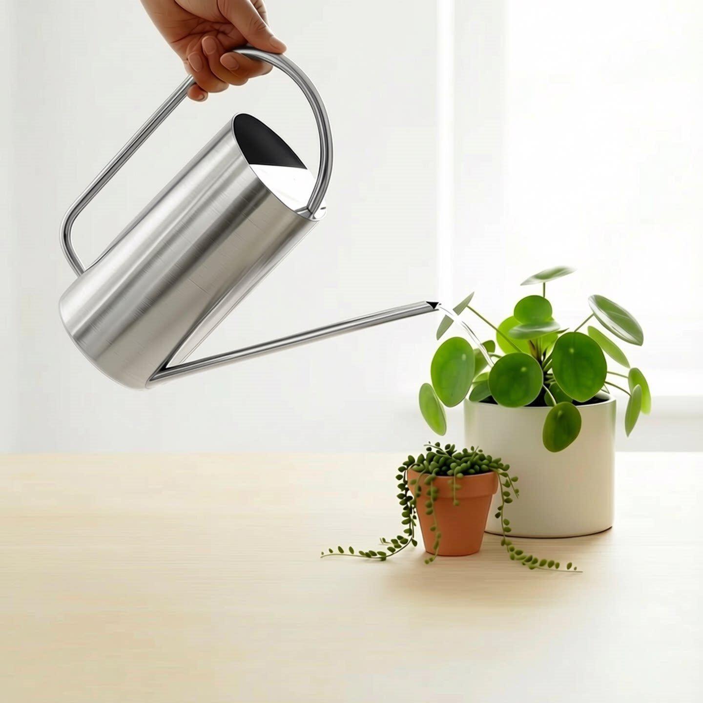 

Лійка з довгим носиком з нержавіючої сталі, великої ємності, 1,5 л для саду та домашнього використання.