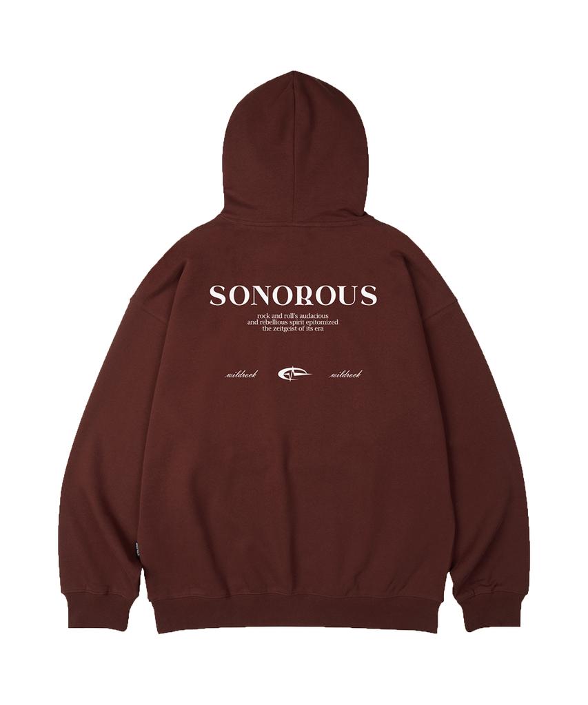 Sonorous Oversized Hoodie_10 Col
