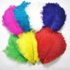 10Pcs Natural Dyed Fluffy Soft Ostrich Feather For Craft Diy Needlework Feathers Jewelry Making Dress Wedding Decoration 25-30Cm