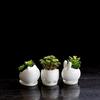 Direct Supply Of Simple White Ceramic Flower Pots, Japanese-Style Home Gardening Creative Desktop Potted Plants