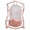 Plant Vase with Wrought Iron Flower Stand Transparent Glass Flower Pot Hydroponic Vase for Living