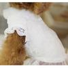 White Dog Clothes Winter Fur Collar Costume Lace Dress Coat For Small Dogs Chiwawa Dachshund Girls Clothing Puppy Jacket Suit XS