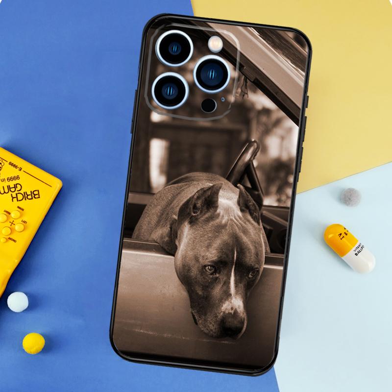 Pit Bull Lovely Dog Pitbull Phone Case For iPhone 16 15 13 12 11 14 17 Pro Max 13 mini 16 Plus 16e 17 Air Bumper Cover