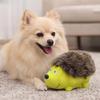 Köpek – Köpek oyuncakları