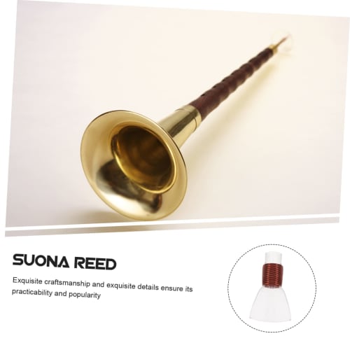 ULDIGI Repair-Free Plastic Suona Reeds, Pack of 10, Musical Instrument Accessories, Smooth Surface, Gentle Tone