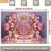 2D 6th Birthday Photography Backdrop, Pink and Silver Balloon with Light Ring Background