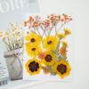 Dried Pressed Flower Handmade Decorative Artificial Flowers Dry Plant Resin Scrapbook Craft DIY Accessories Home
