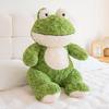 Adorable Frog Plush Toy - Sleep Pillow & Living Room Decor for Girls