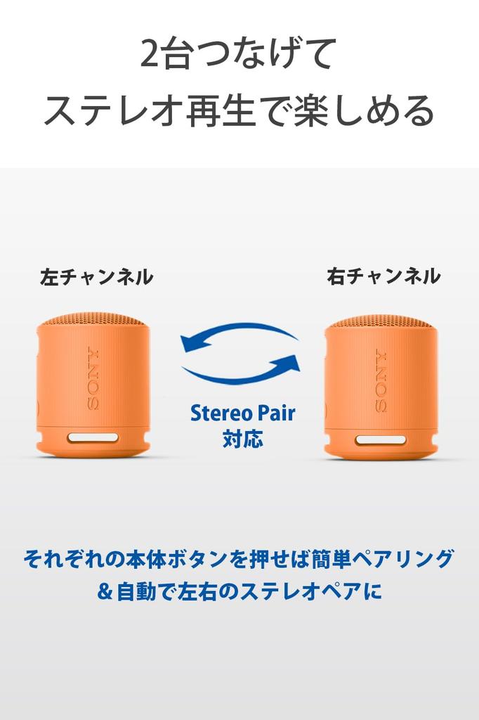 Sony Wireless Speaker Clear Sound with Deep Waterproof and Dustproof Long Battery Life 16 Stereo Pair USB Black SRS-XB100 Bass, (IP67),