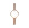 Skagen SKW2726 Watch