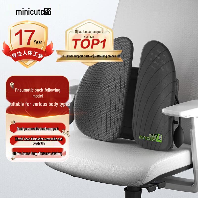 

Miqiao Pressure-Reducing Lumbar Support Cushion