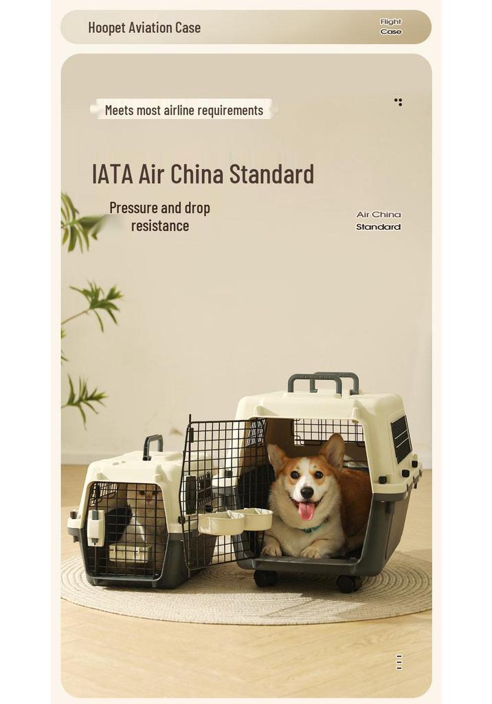 Portable Pet Carrier for Cats and Small Dogs - Airline Approved Travel Box