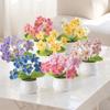 New Handmade Mini Crochet Flowers Photo Props Simulation Knitted Potted Flower Gift DIY Artificial Flower Bonsai Teachers' Day