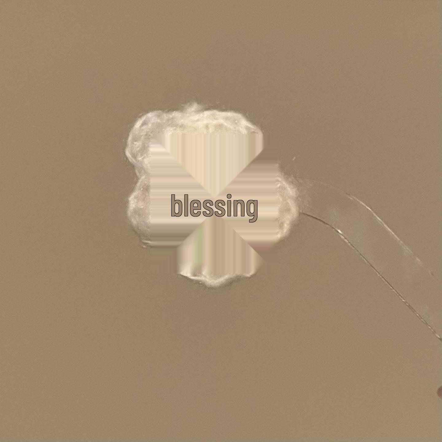 Korean Knitted Pearl Flower Hair Clip, Sweet  Versatile Style, High-End Fashion Accessory.