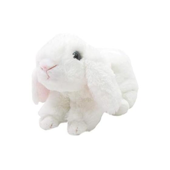 Take Off Rabbit Marron Holland Lop White