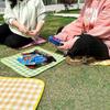 Portable Seat Cushion Waterproof Oxford Cloth Beach Mat Outdoor Camping Lawn Picnic Mat Music Festival Foldable Seat Pad
