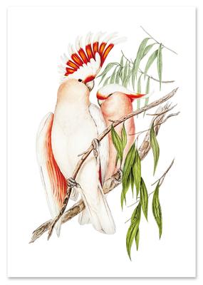 Bytové dekorácie – Obrazy a plagáty