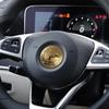 52mm 57mm Solid 3d & Flat Star Apple Tree Badge Nickle Car Emblem For Mercedes Benz AMG Steering Wheel Center Logo Silver Gold