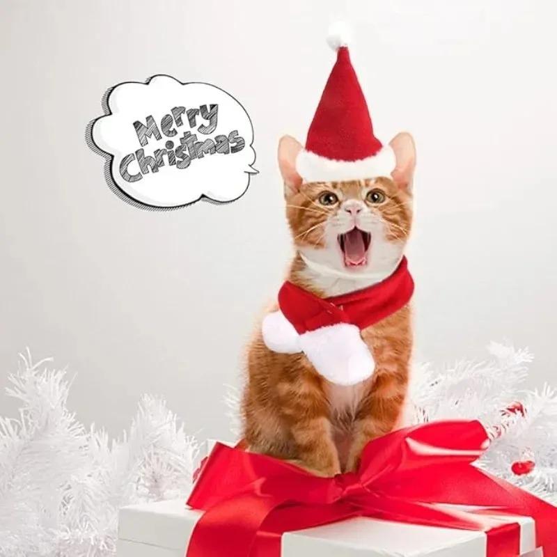 1-10 Stück Haustier-Weihnachtsmützen- und Schal-Set Verstellbares Weiches Outfit Feiertagskostüm für Katzen und Kleine Hunde Party-Verkleidungszubehör