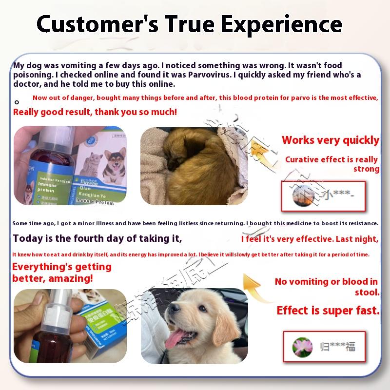 50ML Ruimeibei Canine Parvovirus Special Medicine - For Treatment and Prevention of Canine Distemper, Parvovirus, Diarrhea, Bloody Stools