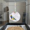 Nid d'élevage de perroquet résistant aux morsures Cage à oiseaux transparente Lit Nid d'oiseau suspendu Fournitures pour animaux de compagnie