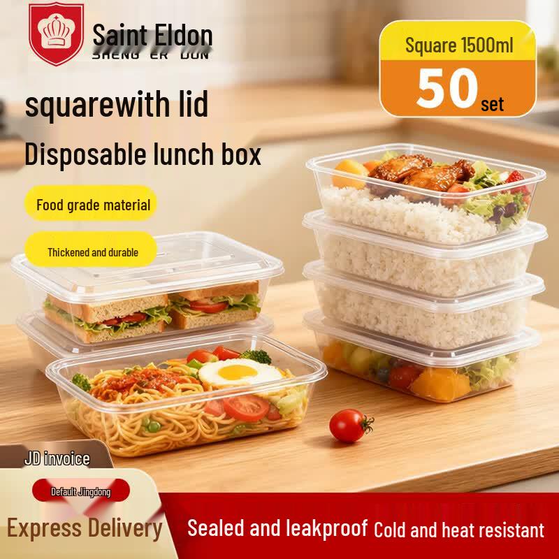 Disposable Rectangular Plastic Lunch Box Set