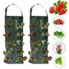 10Hole Grow Bag Strawberry Potatoes Tomatoes Planting Bag Home Garden Seeding Bag Flower Plant Holder Garden Accessories