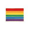 Spille Smaltate Asessuali Gay Lesbiche Badge Zaino Orgoglio LGBT Non Binario Trans Pin da Bavero Rettangolare Arcobaleno Gioielli Regali per Amici
