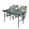 Portable Outdoor Folding Table and Chair Set