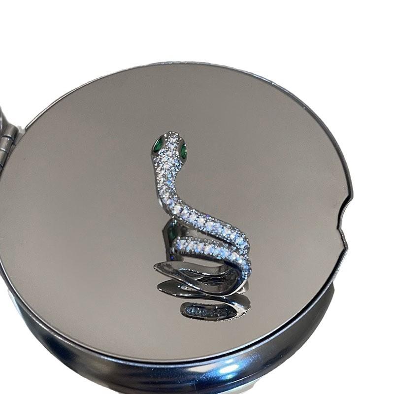 Silver needle zircon exquisite natal year snake earrings Korean ins niche design stud earrings women's high-end earrings