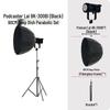 Yingbang 300W Professional Live Broadcast Beauty Light with Deep Reflector