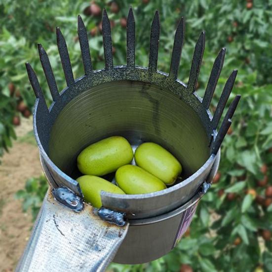 Metal Fruit Picker Light-weight Fruit Picking Tool with Bag or Cup Fruit Collection Tool for Harvesting Jujube Blueberries Longans