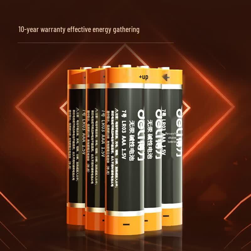 Deli Alkaline AAA Battery CN plug (adapter included)