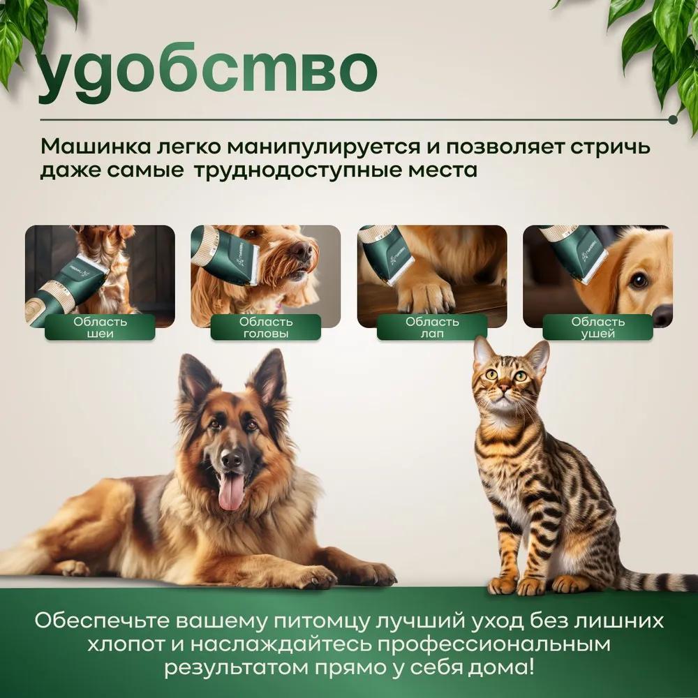 Profesjonalna maszynka bezprzewodowa dla psów i kotów. Cichy trymer dla psa