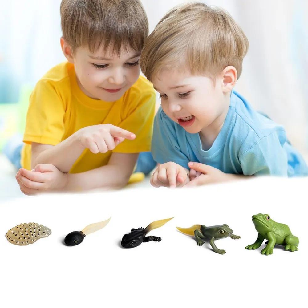 PVC Animal Learning Toy Set