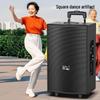 Soaiy 8-inch Portable Outdoor KTV Speaker