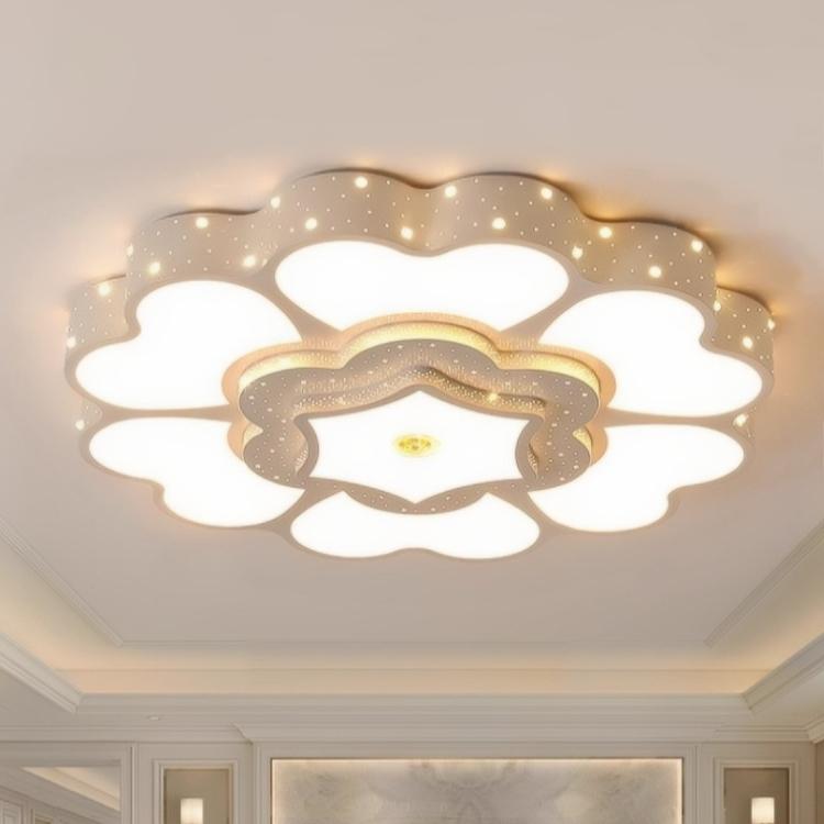Simple Modern Circular Hall Lamp, Large-sized Flower LED Ceiling Light Fixture