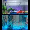 Aquariumlampe Bunt Sauerstoffanreichernd Blasenlicht Wasserdicht LED Dekorlampe für Aquarium