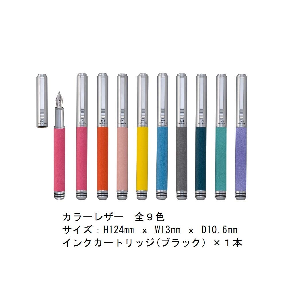 IWI Fountain Extra Hand Pen, Fine, Script, Gray, IWI-9S640-D8D