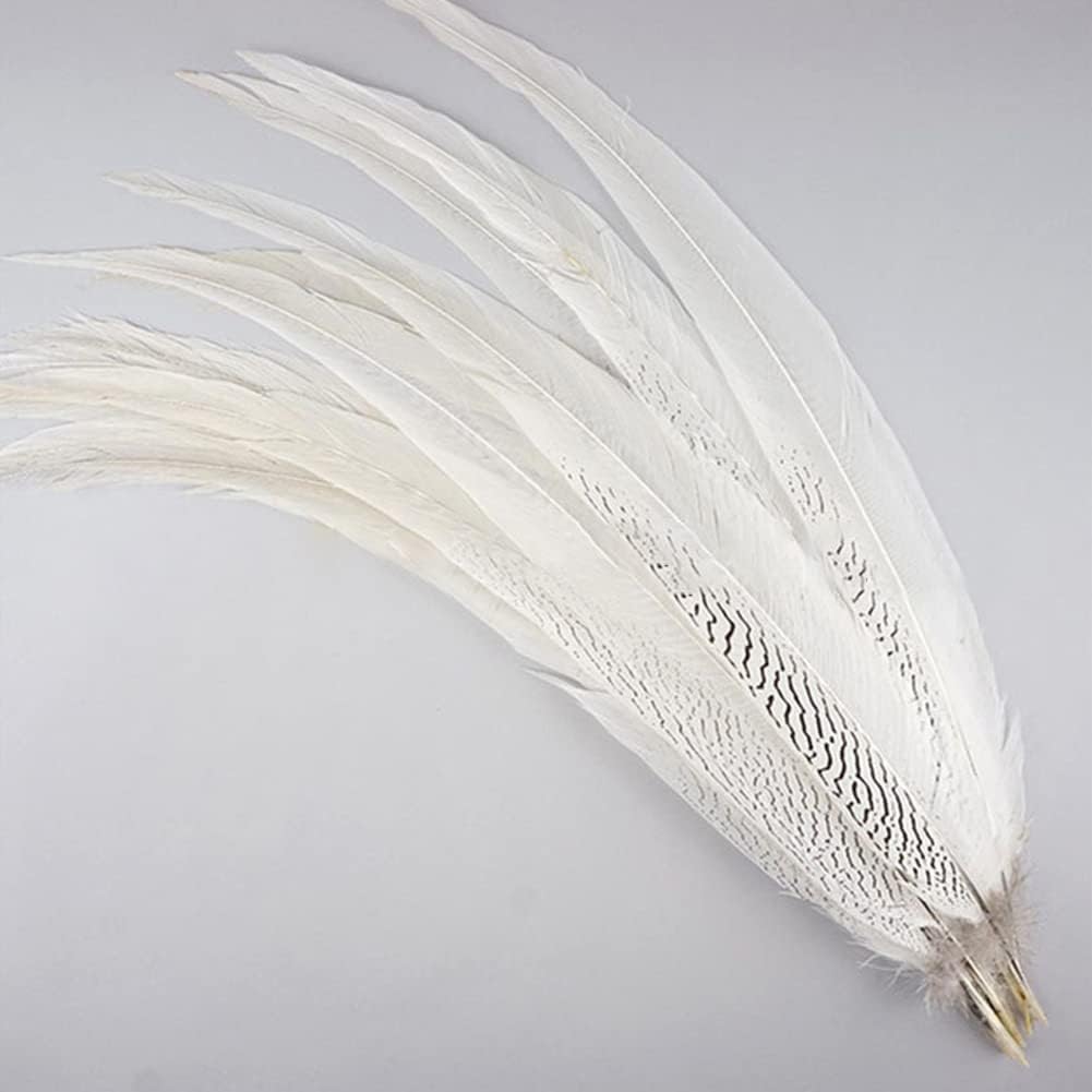 Pheasant Feathers 10 Pieces, White Natural Pheasant Feathers Decorative Chicken Tail Feathers for DIY Crafts, Birthday, Wedding Party Centerpieces,