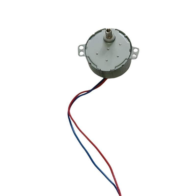 1Pcs 49Tyj 220V 4W Claw Pole Permanent Magnet Flat Port Synchronous Motor For Shaking Head Fan Motor Parts Electric Fan Motor