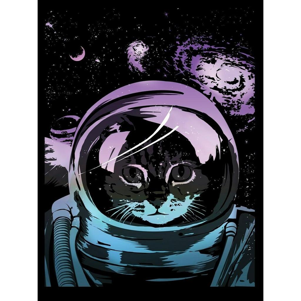Коллектив Unorthodox - SPACE KITTEN 