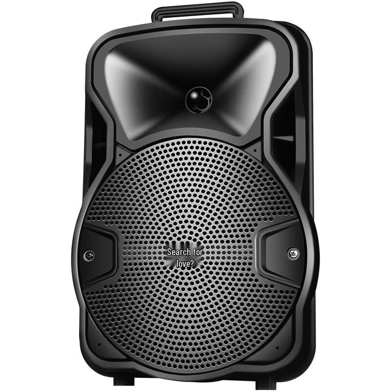 Soaiy SA-F67 Outdoor Portable Karaoke Speaker