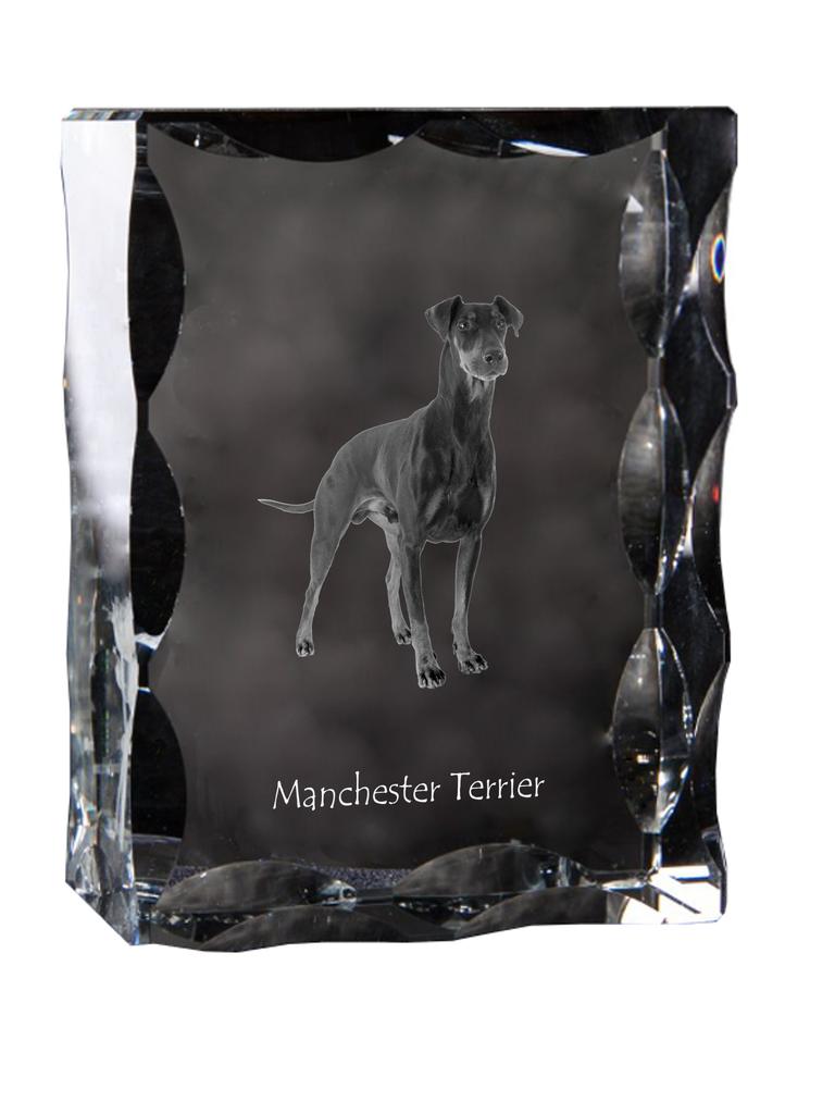 Manchester Terrier - Crystal with a Picture of a Dog, Glass Statuette with a Picture, Unique Frame with a Picture from Art-Dog Brand