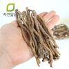 Dandelion Root That Resembles Nature