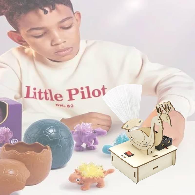 Peacock Opening Diy Science Experiment Wooden Material Customizable Handmade Toy