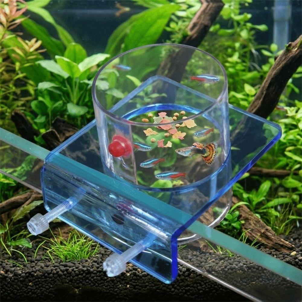 Plastic Fish Tank Feeder Fixed Point Feeding Feed Holder Saltwater Marine Tank