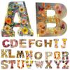 Creative Large Letter Floral Night Light 26 Letters A-Z Dry Flower Simulation Floral Letter Light Valentine's Day Gift