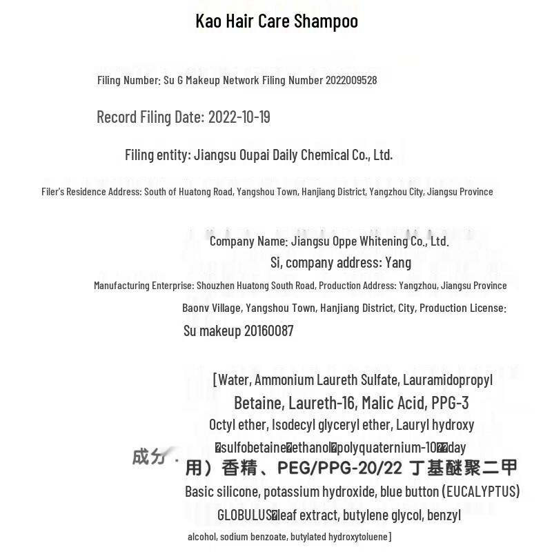 Kao Anxin Series Gentle Cleansing Shampoo